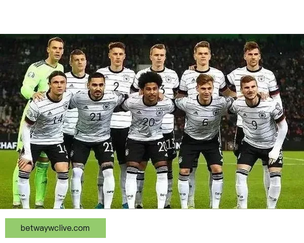 2026世界杯精彩回顾各队表现与冠军争夺全解析