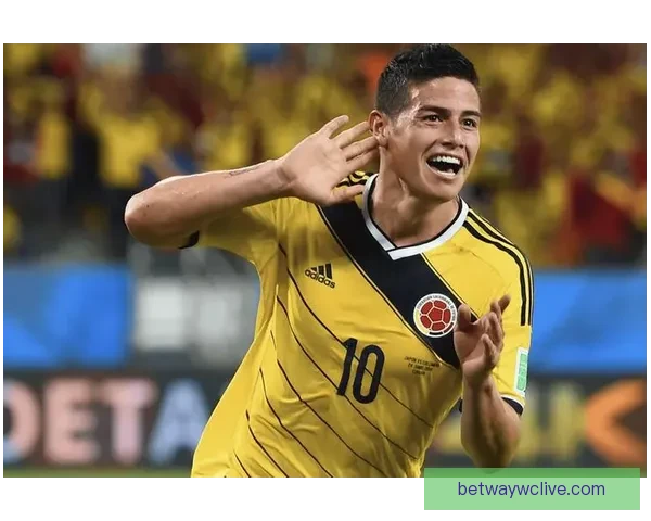 2026世界杯买球平台全面解析及热门投注选项推荐