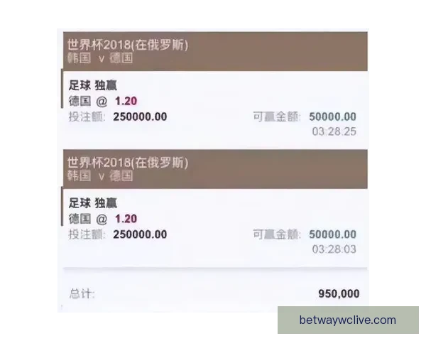 2026世界杯买球平台全面解析及热门投注选项推荐