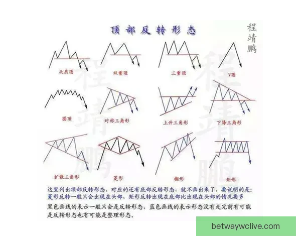 世界杯竞猜游戏高手必读全面解析投注技巧与稳健盈利实战指南